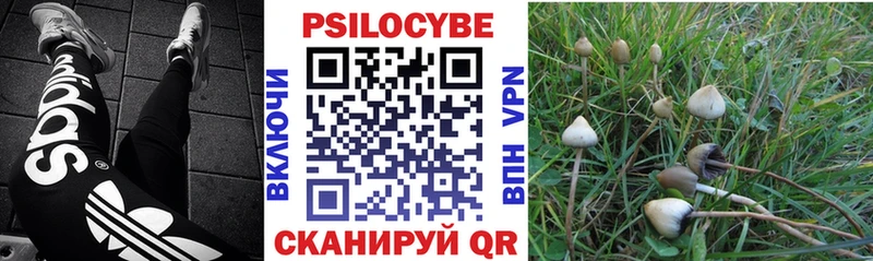 Псилоцибиновые грибы GOLDEN TEACHER  Горбатов 